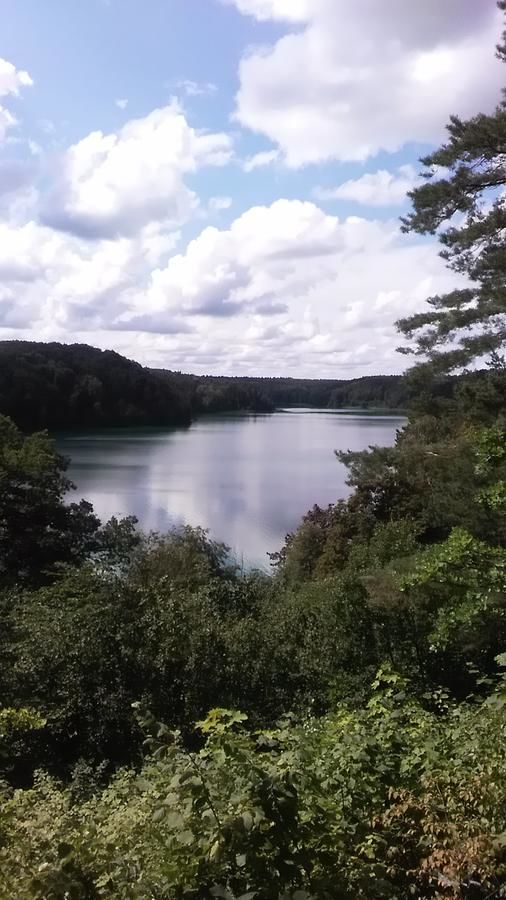 Хостелы Ginto nakvynės namai Вильнюс-31