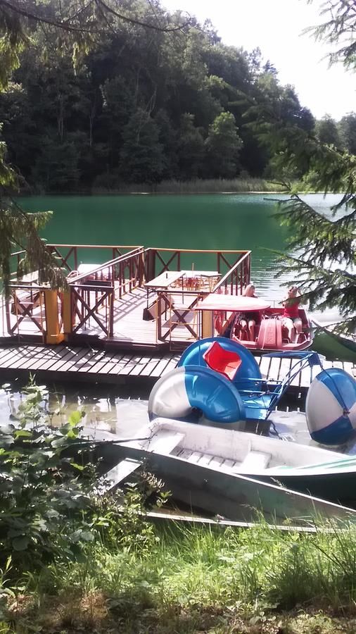 Хостелы Ginto nakvynės namai Вильнюс-47