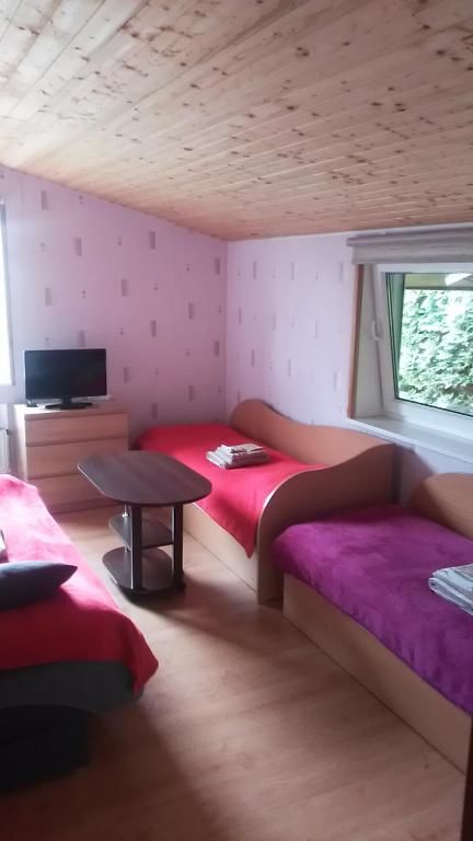 Хостелы Ginto nakvynės namai Вильнюс-52